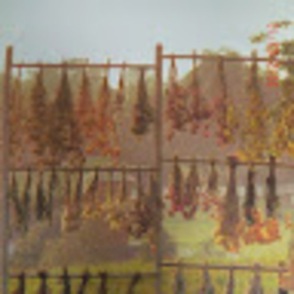 Meet your Posher, Nicole - Picture 1 of 1